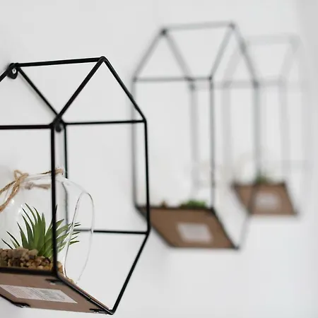 Sara Apartamento Bibinje