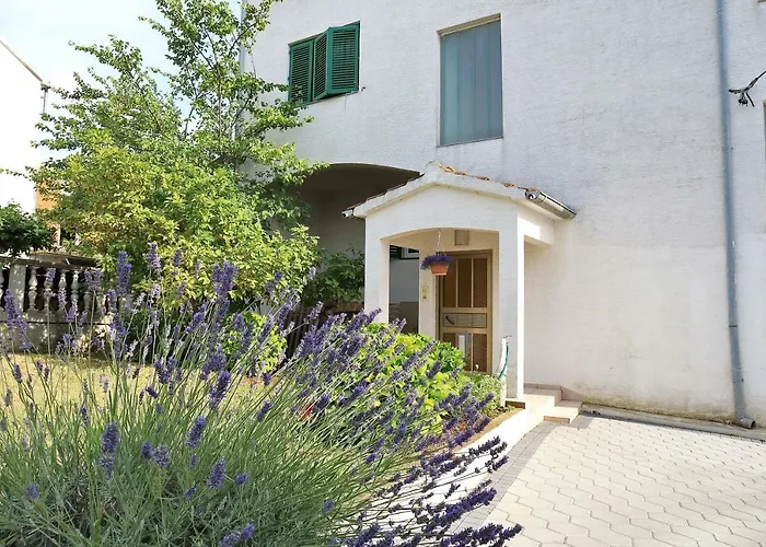 Sara * ביבינייה