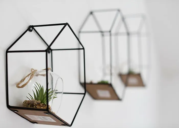 Sara דירה ביבינייה